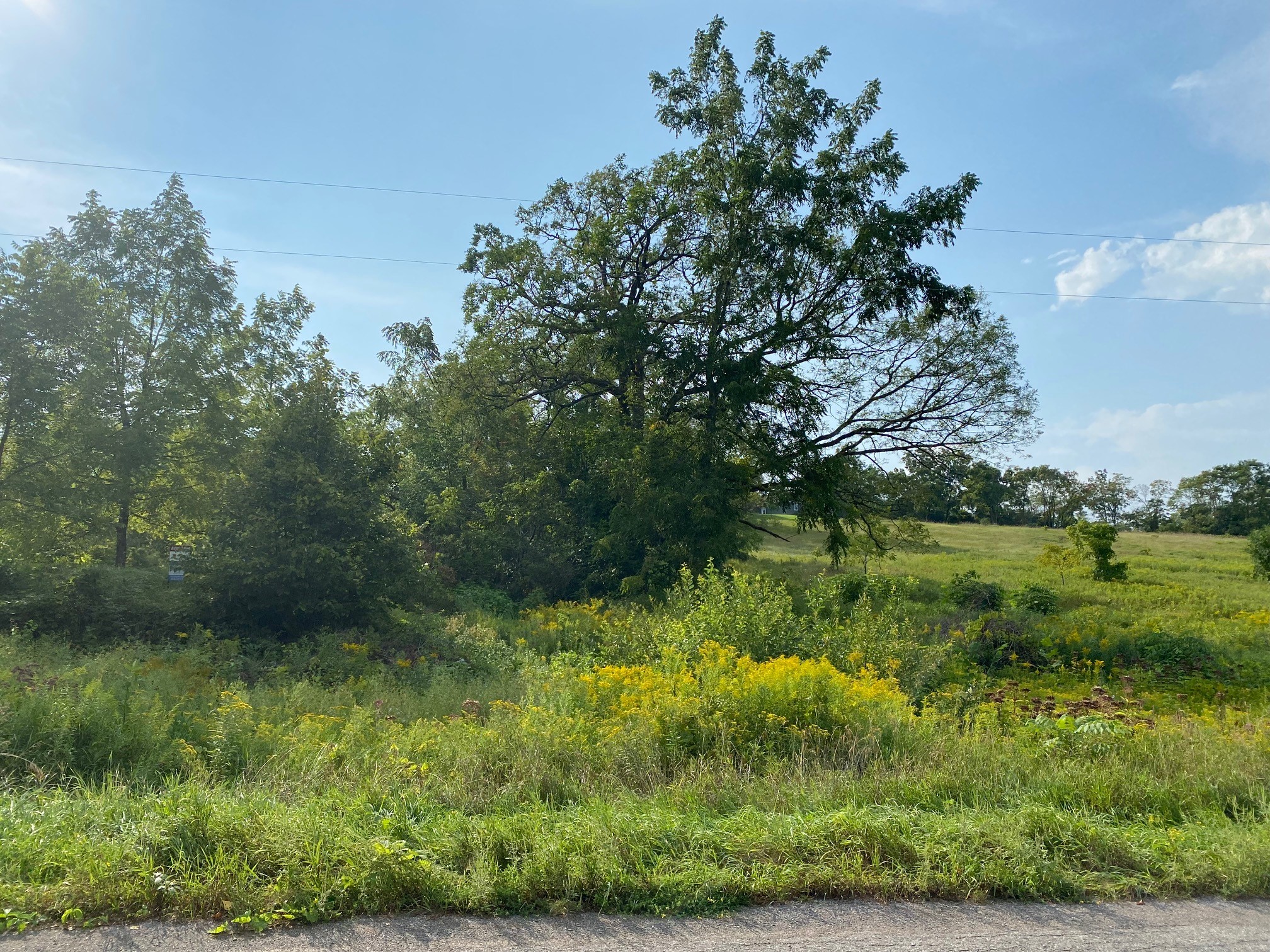 Lot 15 Sully Road, Gore's Landing, Ontario    - Photo 1 - x5300564