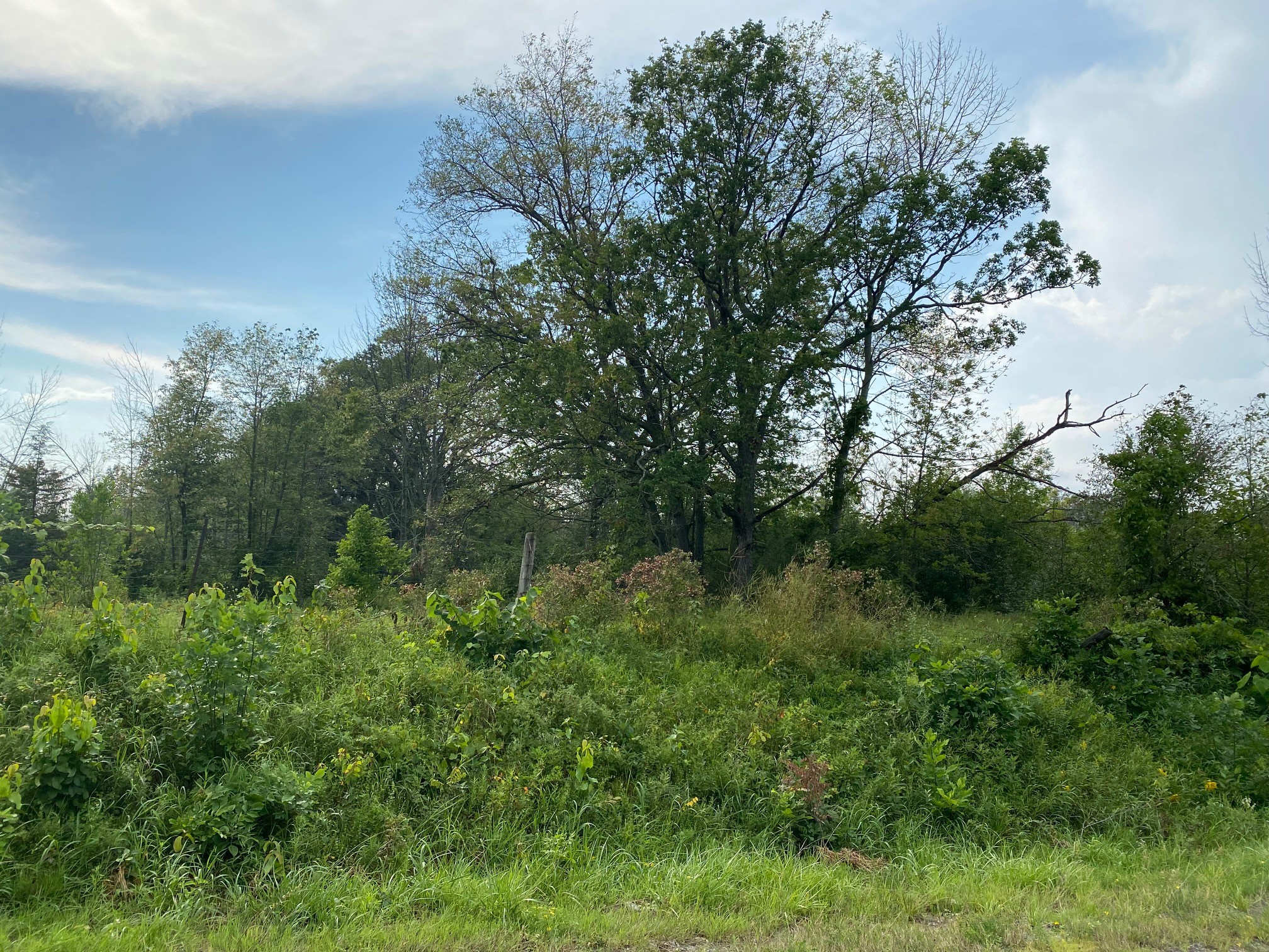 Lot 10 Sully Road, Hamilton Township, Ontario    - Photo 1 - x52399583